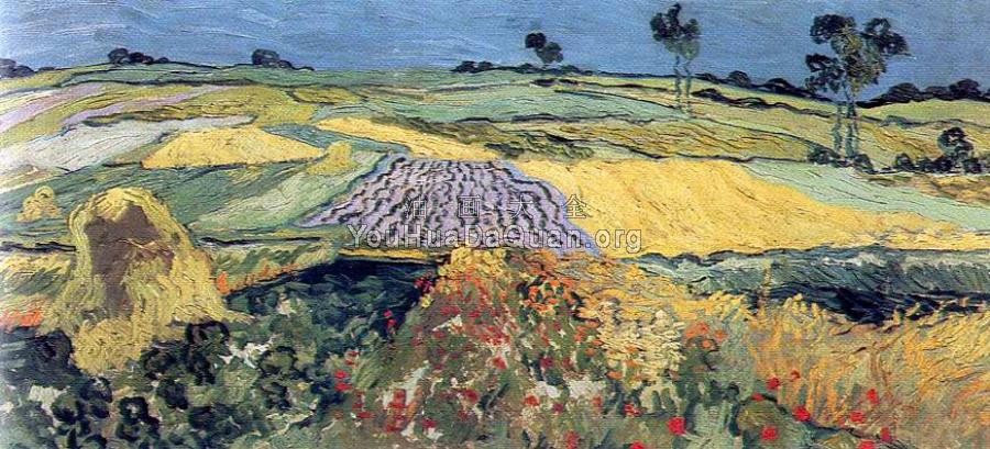 麦田 - 文森特·威廉·梵高